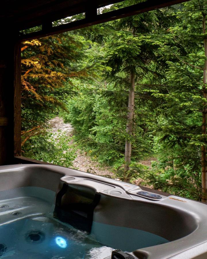 Novosiele Residence - Nad Gorska Rzeka - Lesne Spa Sauna Jacuzzi - Bieszczady Bystre  المظهر الخارجي الصورة