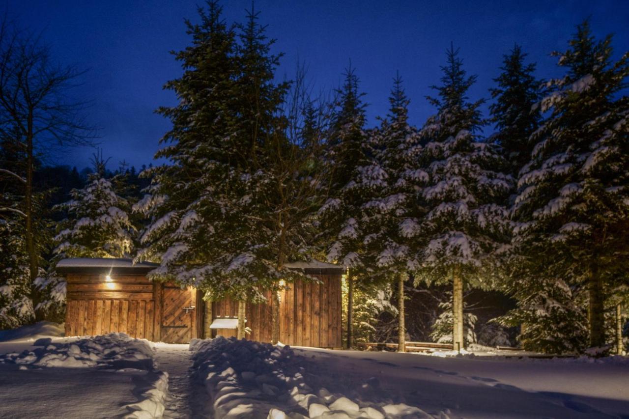 Novosiele Residence - Nad Gorska Rzeka - Lesne Spa Sauna Jacuzzi - Bieszczady Bystre  المظهر الخارجي الصورة