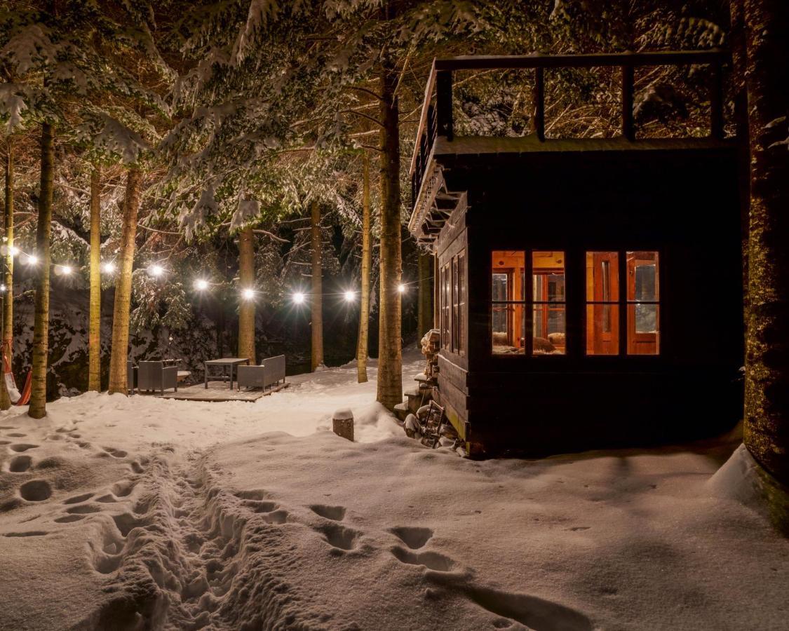 Novosiele Residence - Nad Gorska Rzeka - Lesne Spa Sauna Jacuzzi - Bieszczady Bystre  المظهر الخارجي الصورة